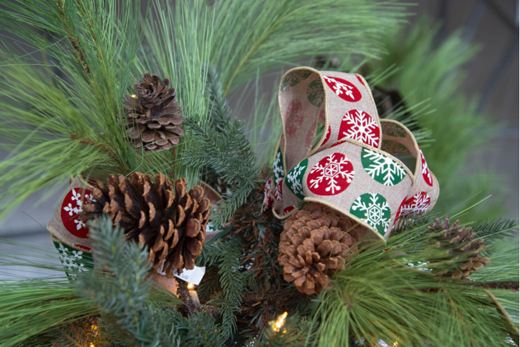 Find the Best Christmas Trees on Sale