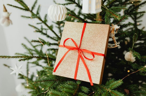 King of Christmas Trees: A Festive Summer Adventure